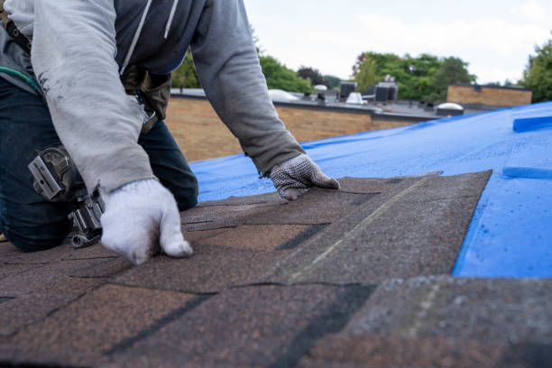 Professional Roofing services in Virden, IL